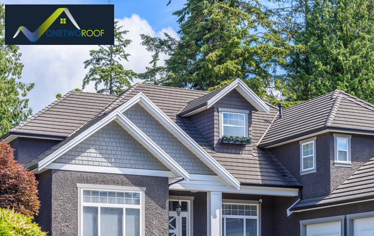 Residential building showcasing a steep roof slope